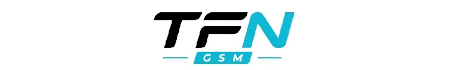 TFNGSM